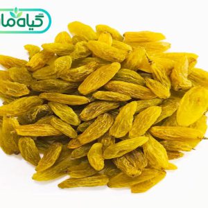 Malayer Golden Raisins